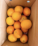 庾豐 江西贛南臍橙新鮮橙子  新鮮水果整箱孕婦手剝橙 當季現摘贛州橙 10斤裝-凈果9斤 單果110-220g 源頭產(chǎn)地直發(fā) 品質(zhì)甄選 曬單實(shí)拍圖