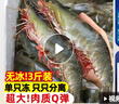 東上御品蝦 青島大蝦基圍蝦鮮活青蝦白蝦海蝦對蝦冰蝦凍蝦生鮮 蝦類(lèi) 海鮮 3斤(凈重)  氣凍大蝦【活蝦速凍】 15-18cm【單只超大蝦】 曬單實(shí)拍圖