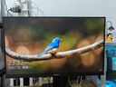 創(chuàng  )維23.8英寸 240Hz 1ms FastIPS 硬件低藍光 智能光感 460nit高亮 電競顯示器 F24G30F GT 2026款 曬單實(shí)拍圖