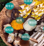 【京東空運(yùn)】云南新鮮菌菇組合煲湯打邊爐菌火鍋燉湯蘑菇多種菌菇 七彩鮮菌組合500g 曬單實(shí)拍圖