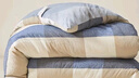 雅鹿·自由自在A(yíng)類(lèi)被子抗菌春秋冬季棉大豆纖維被芯單雙人5斤150x200cm 加州藍格 曬單實(shí)拍圖