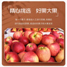 云南高原早熟紅露蘋(píng)果新鮮高山當季水果冰糖心脆甜多汁果園直發(fā) 云南脆甜紅露蘋(píng)果（中大果100g+） 含箱5斤【多日鮮享】 曬單實(shí)拍圖