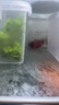 京鮮生 四川攀枝花凱特芒果 8.5斤 單果600g+ 生鮮水果源頭直發(fā) 曬單實(shí)拍圖