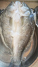 釣魚(yú)記開(kāi)背海鱸魚(yú)1斤-1.3斤 三去凈重 冷凍生鮮 魚(yú)類(lèi) 海鮮水產(chǎn) 中秋聚餐 曬單實(shí)拍圖