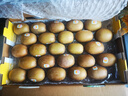 佳沛（zespri）新西蘭  陽(yáng)光金奇異果25-27粒原箱特大果單果約122-146g  獼猴桃 曬單實(shí)拍圖