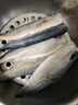 繽鮮 挪威青花魚(yú)片 5片裝 生鮮鯖魚(yú) 新鮮冷凍青魚(yú)鮐魚(yú)似鲅魚(yú) 魚(yú)類(lèi)海鮮 1000g【170-220g/片】?jì)糁?片 曬單實(shí)拍圖