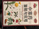 中草藥鑒別與應用 圖解中草藥大全 野外識別原植物鑒別圖冊 藥學(xué)書(shū)中藥材飲片鑒別與應用圖譜書(shū)籍 曬單實(shí)拍圖