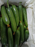 山東壽光水果黃瓜生吃脆新鮮荷蘭青瓜當季無(wú)刺小黃瓜源頭直發(fā) 精品水果黃瓜凈重 4.5斤 曬單實(shí)拍圖