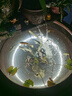 三和自噴手噴輪轂改色防銹漆墻面涂鴉欄桿家具翻新油漆修補漆#40白色 曬單實(shí)拍圖