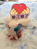 babycare學(xué)爬音樂(lè )小章魚(yú)兒童網(wǎng)紅八爪魚(yú)小動(dòng)物玩具男女孩寶寶玩偶-米粉色 曬單實(shí)拍圖