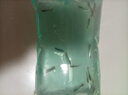 孔雀魚(yú)天使魚(yú) 純種觀(guān)賞魚(yú)淡水好養熱帶小型觀(guān)賞魚(yú) 孔雀魚(yú)12條送備損3條【發(fā)15條】 曬單實(shí)拍圖