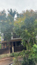大樹(shù)爛根粉強力除樹(shù)粉環(huán)嗪酮除草劑爛根大樹(shù)死除竹子爛根腐蝕劑 三桶【買(mǎi)二送一】 500g 3桶 曬單實(shí)拍圖
