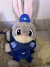 迪士尼（Disney）瘋狂動(dòng)物城朱迪玩偶斜挎包毛絨玩具教師節禮物女孩生日禮物女朋友 曬單實(shí)拍圖