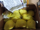京鮮生廣西欽蜜9號黃金百香果3斤凈重45-60g /24-36個(gè)生鮮水果 源頭直發(fā) 曬單實(shí)拍圖