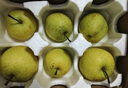 京鮮生 長(cháng)城老樹(shù)皇冠梨 凈重5斤 單果250g+ 新鮮當季 生鮮水果 曬單實(shí)拍圖