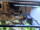 西游水族烏龜缸超白玻璃生態(tài)造景龜魚(yú)缸一體混養生態(tài)缸客廳專(zhuān)用家用飼養缸 40原生溪流豪華全套【缸+DIY造景+設備】 曬單實(shí)拍圖