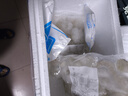 鯨口大開(kāi)新鮮大蝦仁現剝蝦仁新鮮白蝦仁鮮凍冷凍蝦仁大號開(kāi)背蝦仁2斤凈重 特大蝦仁【約8-10厘米】 2斤(凈重) 曬單實(shí)拍圖