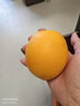京鮮生 江西贛南臍橙 凈重4.5斤 單果150g+ 源頭直發(fā)包郵 曬單實(shí)拍圖