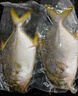 翔泰 海南金鯧魚(yú)凈重900g 2條裝  魚(yú)類(lèi)生鮮 火鍋食材 海鮮水產(chǎn) 中秋 曬單實(shí)拍圖