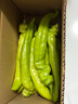 京鮮生內蒙古新鮮尖椒凈重1.5斤裝 新鮮蔬菜 辣椒 源頭直發(fā) 曬單實(shí)拍圖