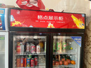 格點(diǎn)大容量飲料柜商用冰柜直冷藏展示柜酒水柜純風(fēng)冷無(wú)霜保鮮柜超市玻璃門(mén)冰箱立式啤酒柜 雙門(mén)下機組風(fēng)冷 360°循環(huán)速冷款 曬單實(shí)拍圖
