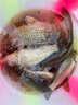 光威魚(yú)線(xiàn)大線(xiàn)組套裝八字環(huán)硅膠太空豆漂座快速刻度鉛納米2副主線(xiàn) 光威套裝釣組(兩付入）4.8米 2 曬單實(shí)拍圖