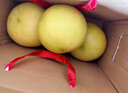 正宗廣西容縣沙田柚蜜柚新鮮水果當(dāng)季時令孕婦柚子整箱純甜 4斤(3.5-4斤)2個裝 30年老樹果彩箱現(xiàn)摘現(xiàn)發(fā)派送到家 曬單實(shí)拍圖