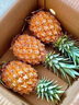 橙小士海南金鉆鳳梨17號自然熟現摘特大手撕無(wú)眼菠蘿新鮮水果整箱 5斤精選果【2-3個(gè)】?jì)艄?.5斤 曬單實(shí)拍圖