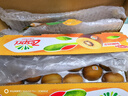 佳沛（zespri）新西蘭  陽(yáng)光金奇異果巨大果22粒原箱 單果重約144-175g 獼猴桃 曬單實(shí)拍圖