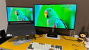 戴爾（DELL）27英寸 4K顯示器 IPS面板 120Hz高刷 99%sRGB 硬件防藍光 1500:1 辦公娛樂(lè )顯示屏 S2725QS 曬單實(shí)拍圖