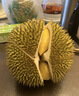 鮮惠源泰國進(jìn)口金枕頭榴蓮整個(gè)新鮮帶殼鮮果 精選凈重3-4斤包3房 曬單實(shí)拍圖