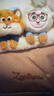 迪士尼（Disney）瘋狂動(dòng)物城包包女包生日禮物女生玩偶單肩包托特包女士實(shí)用大容量 曬單實(shí)拍圖