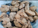 益客新鮮雞肝生雞肝 生鮮食材冷凍雞肝雞內臟雞副產(chǎn)品 1公斤 曬單實(shí)拍圖