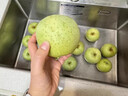 正宗新疆青森王林蘋(píng)果大果可選阿克蘇丑水蜜桃蘋(píng)果陽(yáng)光斑點(diǎn)蘋(píng)果F 凈重3斤大果【單果80-85mm】7個(gè)左右 曬單實(shí)拍圖