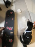 DBH滑板專(zhuān)業(yè)板初學(xué)者兒童成年人男女6-12-18歲雙翹四輪8.0英寸 曬單實(shí)拍圖