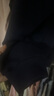 蓋璞男女童2025秋季新款Logo膠印抓絨套頭連帽衫兒童裝衛(wèi)衣829299 海軍藍(lán) 130 cm(8-9歲) 亞洲尺碼 曬單實拍圖