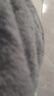 HOTPLUS衛衣小熊保溫杯女生高顏值水杯吸管杯高級感送女生可愛(ài)生日禮物 學(xué)院熊白色【配禮盒+禮袋】 450ml 一杯雙蓋/316內膽斜挎便攜式 曬單實(shí)拍圖