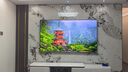 海信電視小墨E5Q Pro85英寸 1248分區U+MiniLED 信芯芯片 抗反光防眩光墨晶屏 300Hz國家補貼85E5Q-PRO 曬單實(shí)拍圖