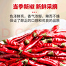 樂(lè )暢朝天椒100g干辣椒 無(wú)硫無(wú)鉛 紅辣椒燉鹵料火鍋底料調味料香辛料 曬單實(shí)拍圖