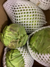 包菜新鮮卷心菜大頭菜農戶(hù)自種當季綠葉蔬菜綠甘藍 綠甘藍 5斤 曬單實(shí)拍圖
