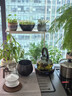 茗光2025年新款煮茶壺電陶爐煮茶器小型燒水壺煮茶爐養生壺 曬單實(shí)拍圖