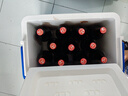 【京東定制】精釀白啤青啤五廠產(chǎn)618ml*6瓶*2箱禮盒裝 中秋節(jié)送禮 曬單實(shí)拍圖
