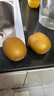 佳沛（zespri）新西蘭陽(yáng)光金果 16粒巨無(wú)霸獼猴桃 單果202-230g   中秋水果禮盒 曬單實(shí)拍圖