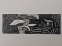 瓦爾登湖（木刻插圖版 古典木刻大師Thomas W.Nason42幅木刻作品 精裝典藏版） 曬單實(shí)拍圖