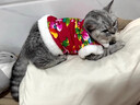 OSKV寵物唐裝衣服秋冬款加絨保暖狗狗貓咪小型犬小貓大花棉襖新年衣服 東北大花棉襖 L碼【約7-9斤】 曬單實(shí)拍圖