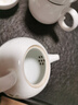 蘇氏陶瓷 茶具套裝天香茶壺茶杯陶瓷功夫茶具禮盒裝（茶壺） 曬單實(shí)拍圖