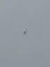 耐克NIKE跑步鞋男緩震透氣RUN SWIFT 3運動(dòng)鞋DR2695-002黑白40 曬單實(shí)拍圖
