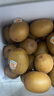 佳沛（zespri）新西蘭  陽(yáng)光金果16粒經(jīng)典果單果 77-103g 中秋水果禮盒 獼猴桃 曬單實(shí)拍圖