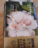 babycare金山茶花紙尿褲S58片*2包(4-8kg)新生兒嬰兒尿不濕超薄透氣花苞褲 曬單實(shí)拍圖