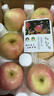南步大連王林蘋(píng)果【順豐到家】正宗雀斑美人青森紅臉蘋(píng)果梨味新鮮水果 5-5.4斤 精選特大果【約9枚】 曬單實(shí)拍圖